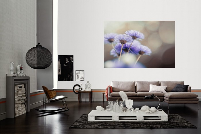 Die Fototapete Wildblumen im Detail als Wandbild im Wohnzimmer. Die Vlies-Fototapete Wildblumen im Detail verschönert als Wandbild Deine Wand.