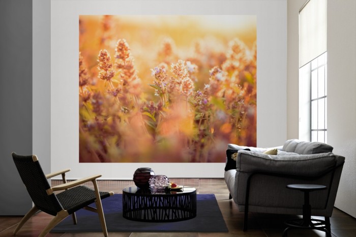 Die Fototapete Salbeipflanzen im Sonnenschein als große Bildtapete im Wohnzimmer. Als Bildtapete ist die Fototapete Salbeipflanzen im Sonnenschein ein besonderes Highlight auf Vliestapete.