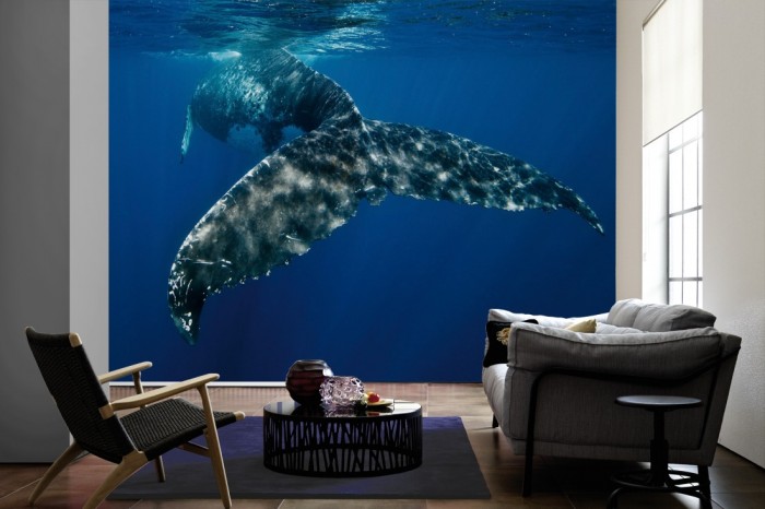 Im Wohnzimmer die Fototapete Wal im Ozean auf einer großen Wand tapeziert. Die Fototapete Wal im Ozean ist als Vlies-Fototapete im Wohnzimmer leicht zu tapezieren.
