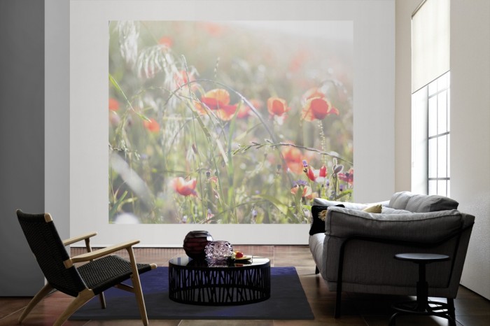 Die Fototapete Mohn Blumen im Sonnenlicht als große Bildtapete im Wohnzimmer. Als Bildtapete ist die Fototapete Mohn Blumen im Sonnenlicht ein besonderes Highlight auf Vliestapete.