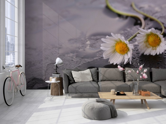 Die Fototapete Kamillenblüten auf Schieferstein auf einer großen Wand im Loft tapeziert. Die Fototapete Kamillenblüten auf Schieferstein wird individuell auf Deine Wand angepasst.