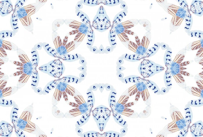 Die Designer-Fototapete Kaleidoskop Federn, Artwork by Mylumi, eine Vlies-Fototapete bei Livingwalls Cologne online kaufen. Die Designer-Fototapete Kaleidoskop Federn, Artwork by Mylumi ist eine Fototapete auf Maß.