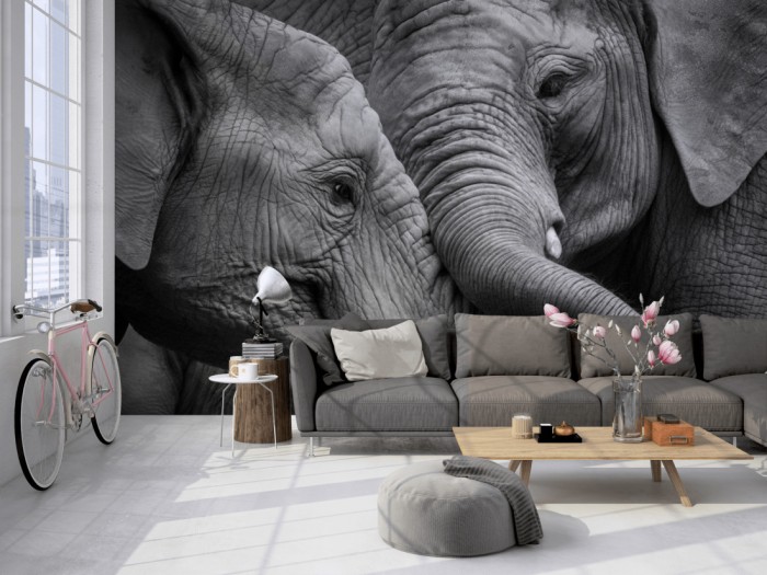 Die Fototapete Elefanten, schwarz-weiß auf einer großen Wand im Loft tapeziert. Die Fototapete Elefanten, schwarz-weiß wird individuell auf Deine Wand angepasst.
