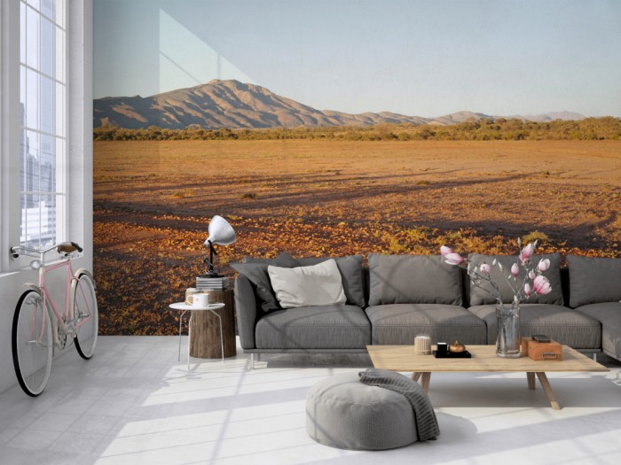 Die Fototapete Australiens Wüste auf einer großen Wand im Loft tapeziert. Die Fototapete Australiens Wüste wird individuell auf Deine Wand angepasst.