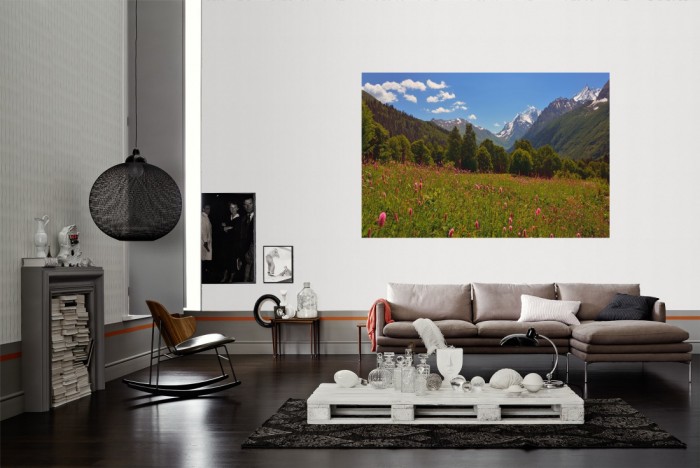 Die Fototapete Berglandschaft Rocky Mountains, San Juan als Wandbild im Wohnzimmer. Die Vlies-Fototapete Berglandschaft Rocky Mountains, San Juan verschönert als Wandbild Deine Wand.