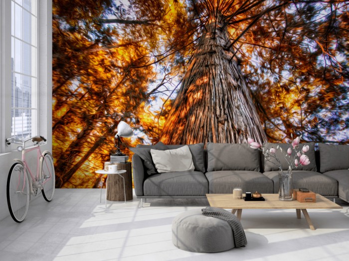 Die Fototapete Alter Herbstbaum im Sonnenlicht auf einer großen Wand im Loft tapeziert. Die Fototapete Alter Herbstbaum im Sonnenlicht wird individuell auf Deine Wand angepasst.