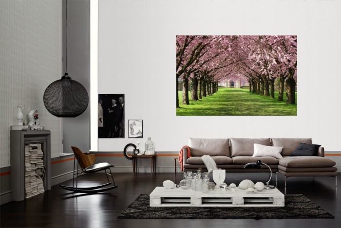 Die Fototapete Kischblüten Baum-Allee als Wandbild im Wohnzimmer. Die Vlies-Fototapete Kischblüten Baum-Allee verschönert als Wandbild Deine Wand.