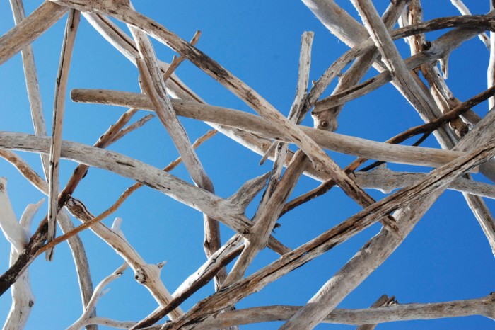 Die Fototapete Holz mit Blick in den Himmel, Detail, eine Vlies-Fototapete bei Livingwalls Cologne online kaufen. Die Fototapete Holz mit Blick in den Himmel, Detail ist eine Fototapete auf Maß.