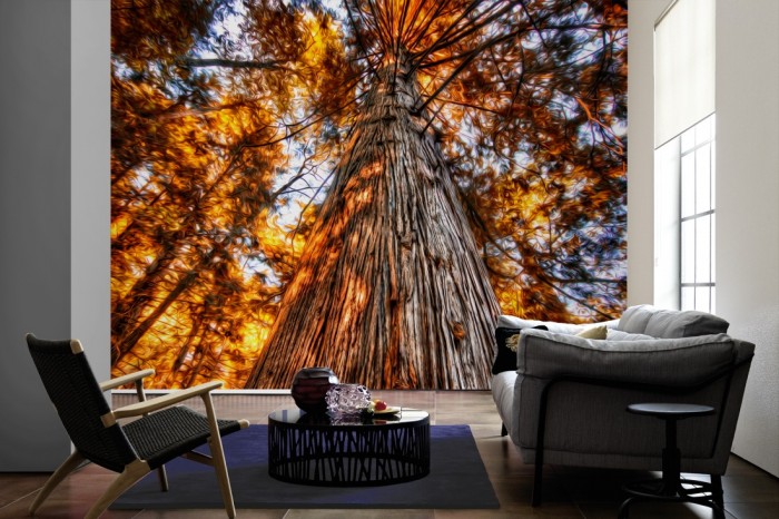 Im Wohnzimmer die Fototapete Alter Herbstbaum im Sonnenlicht auf einer großen Wand tapeziert. Die Fototapete Alter Herbstbaum im Sonnenlicht ist als Vlies-Fototapete im Wohnzimmer leicht zu tapezieren.