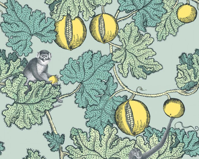 Ansicht der Fornasetti Tapete 114/1002 Frutto Proibito von Cole and Son