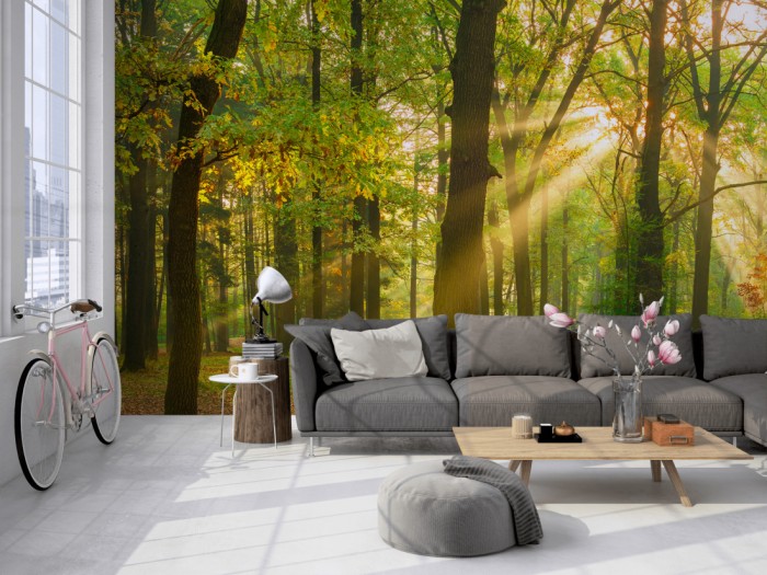 Die Fototapete Wald im Herbst, Eichenwald auf einer großen Wand im Loft tapeziert. Die Fototapete Wald im Herbst, Eichenwald wird individuell auf Deine Wand angepasst.