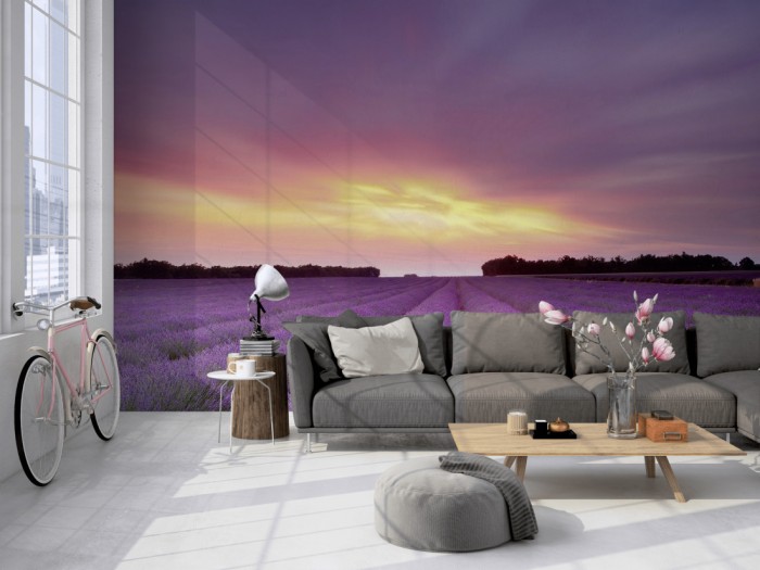 Die Fototapete Lavendel Feld bei Sonnenuntergang, Frankreich auf einer großen Wand im Loft tapeziert. Die Fototapete Lavendel Feld bei Sonnenuntergang, Frankreich wird individuell auf Deine Wand angepasst.