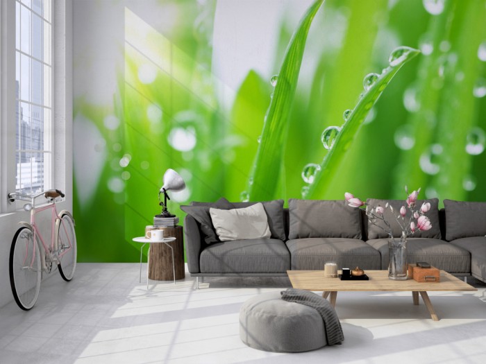 Die Fototapete Gras mit Wassertropfen auf einer großen Wand im Loft tapeziert. Die Fototapete Gras mit Wassertropfen wird individuell auf Deine Wand angepasst.