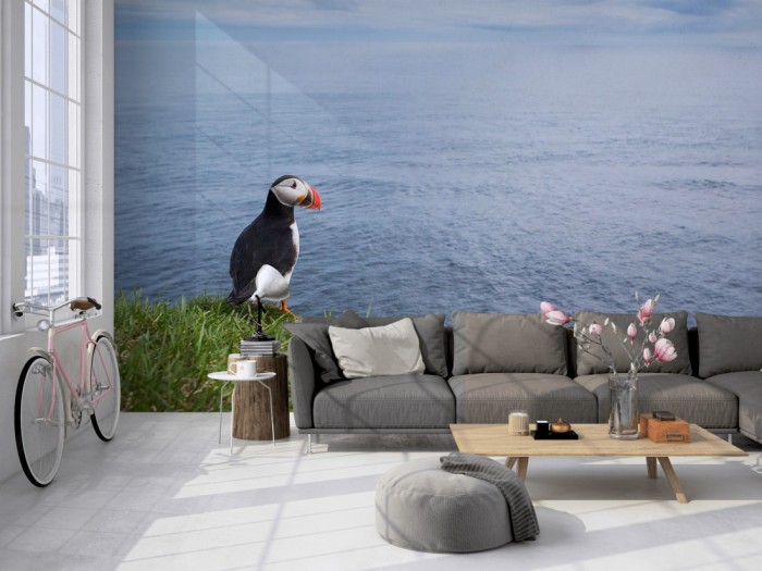 Die Fototapete Vogel in Island, Papageitaucher auf einer großen Wand im Loft tapeziert. Die Fototapete Vogel in Island, Papageitaucher wird individuell auf Deine Wand angepasst.