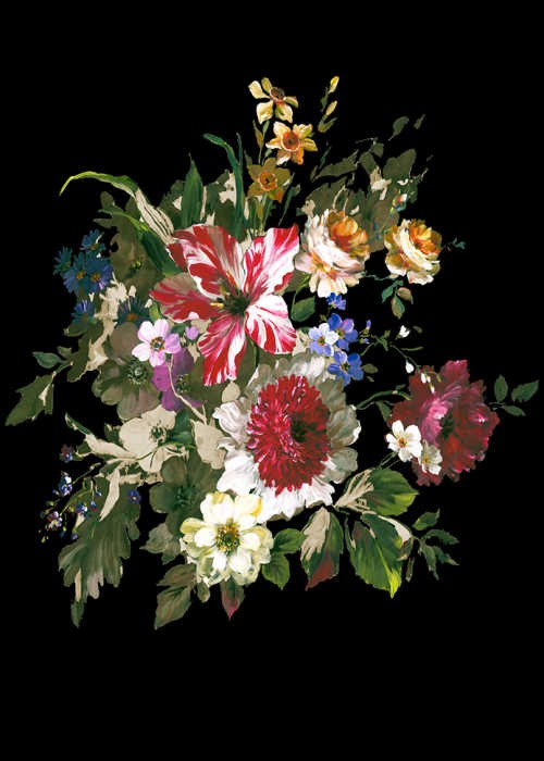 Das Design-Fotopanel Blumen Bouquet Schwarz einfach online bestellen. Die Designertapete von Joop ist in drei Farbkombinationen erhältlich.