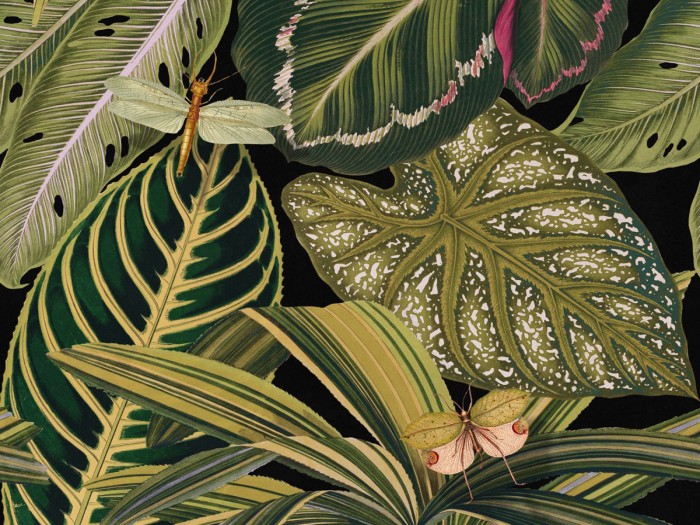 Detailansicht der Selected Walls Tapete Sinnamary Insects Wallpaper Col. 01