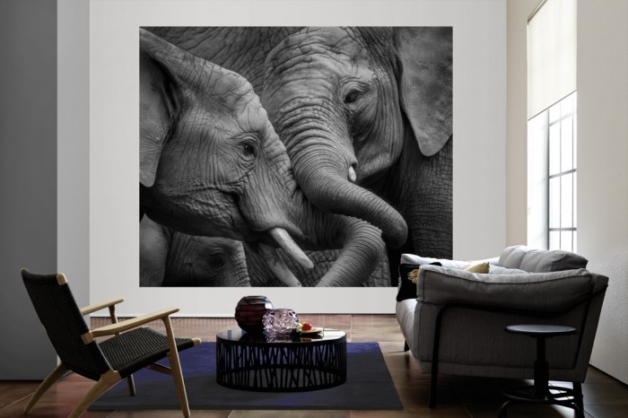Die Fototapete Elefanten, schwarz-weiß als große Bildtapete im Wohnzimmer. Als Bildtapete ist die Fototapete Elefanten, schwarz-weiß ein besonderes Highlight auf Vliestapete.