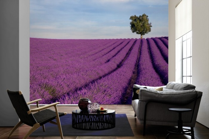 Im Wohnzimmer die Fototapete Dichtes Lavendel Feld, Provence Frankreich auf einer großen Wand tapeziert. Die Fototapete Dichtes Lavendel Feld, Provence Frankreich ist als Vlies-Fototapete im Wohnzimmer leicht zu tapezieren.