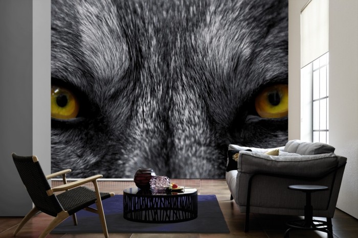 Im Wohnzimmer die Fototapete Wolf im Blick auf einer großen Wand tapeziert. Die Fototapete Wolf im Blick ist als Vlies-Fototapete im Wohnzimmer leicht zu tapezieren.