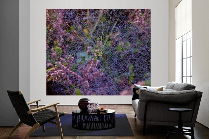 Die Fototapete Blüten im sommerlichen Morgentau als große Bildtapete im Wohnzimmer. Als Bildtapete ist die Fototapete Blüten im sommerlichen Morgentau ein besonderes Highlight auf Vliestapete.