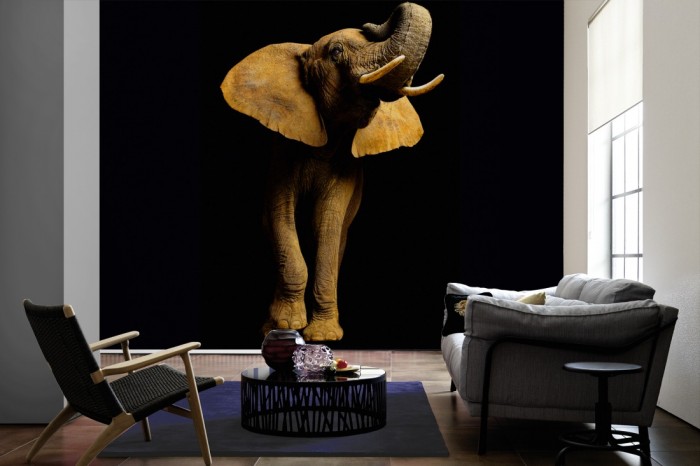 Im Wohnzimmer die Fototapete Elefant von vorne, Fotografie by Mark Laita auf einer großen Wand tapeziert. Die Fototapete Elefant von vorne, Fotografie by Mark Laita ist als Vlies-Fototapete im Wohnzimmer leicht zu tapezieren.