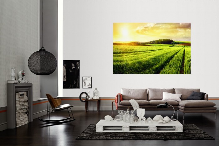 Die Fototapete Gras Landschaft bei Sonnenaufgang als Wandbild im Wohnzimmer. Die Vlies-Fototapete Gras Landschaft bei Sonnenaufgang verschönert als Wandbild Deine Wand.