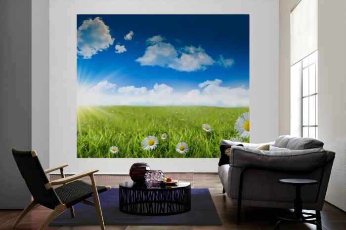 Die Fototapete Sommerwiese unter blauem Himmel als große Bildtapete im Wohnzimmer. Als Bildtapete ist die Fototapete Sommerwiese unter blauem Himmel ein besonderes Highlight auf Vliestapete.