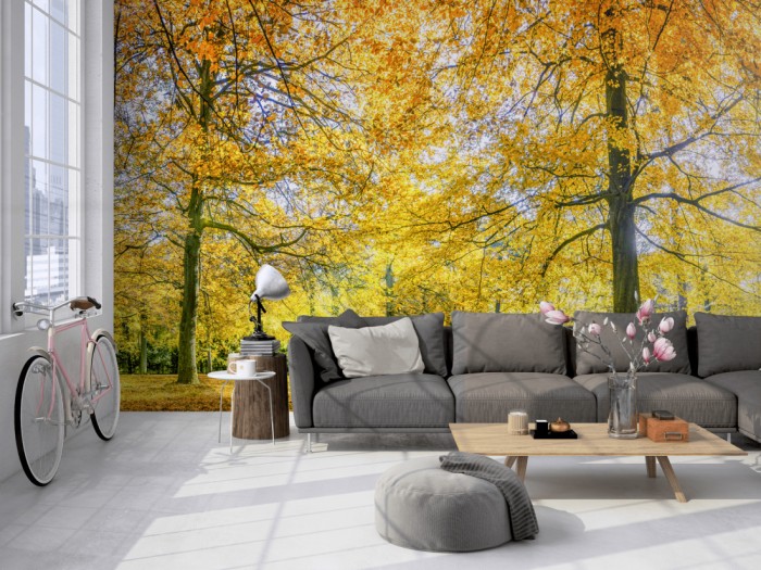 Die Fototapete Wald im herbstlichen Sonnenschein auf einer großen Wand im Loft tapeziert. Die Fototapete Wald im herbstlichen Sonnenschein wird individuell auf Deine Wand angepasst.