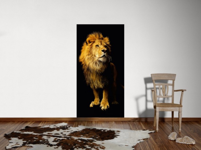 Ein Foto von dem 3D-Fotopanel Löwe mit schwarzem Hintergrund tapeziert an der Wand. Bestelle Deine Bildtapete online.