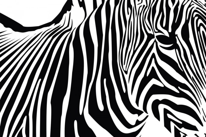 Die Fototapete Zebra, Artwork, eine Vlies-Fototapete bei Livingwalls Cologne online kaufen. Die Fototapete Zebra, Artwork ist eine Fototapete auf Maß.
