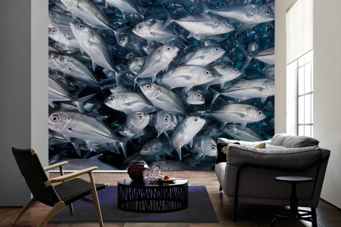 Im Wohnzimmer die Fototapete Fische im Schwarm, Amberjacks auf einer großen Wand tapeziert. Die Fototapete Fische im Schwarm, Amberjacks ist als Vlies-Fototapete im Wohnzimmer leicht zu tapezieren.