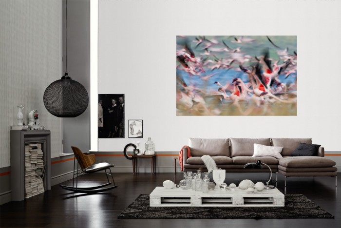 Die Fototapete Flamingos in Kenia als Wandbild im Wohnzimmer. Die Vlies-Fototapete Flamingos in Kenia verschönert als Wandbild Deine Wand.