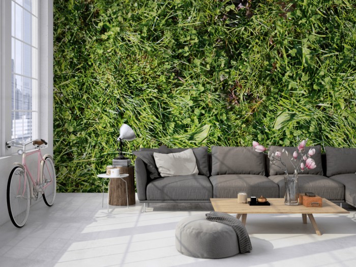 Die Fototapete Grünes Gras auf einer großen Wand im Loft tapeziert. Die Fototapete Grünes Gras wird individuell auf Deine Wand angepasst.