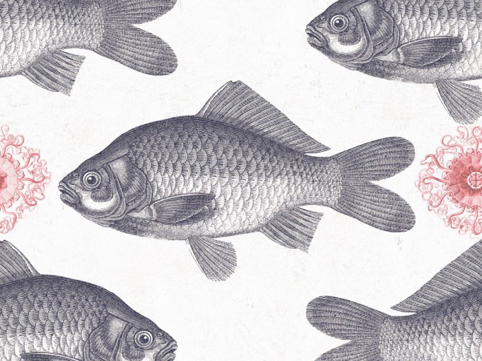 Detailansicht der Selected Walls Tapete Lindau Fish Wallpaper Col. 02