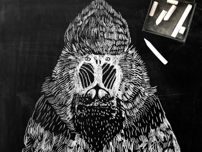 Bilder mit Kreide malen auf unseren magnetischen Tafeltapeten, Tafelsticker und Tafelplakaten