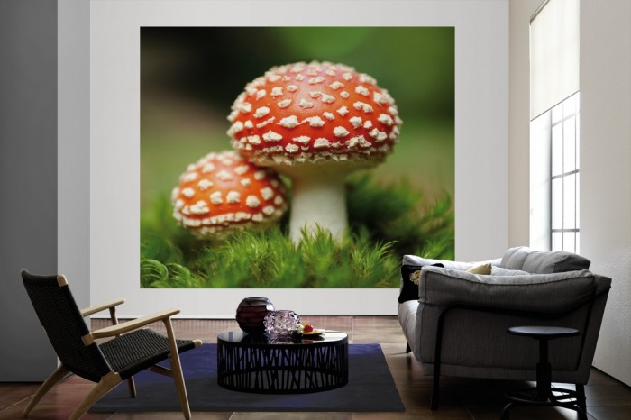 Die Fototapete Fliegenpilz Paar als große Bildtapete im Wohnzimmer. Als Bildtapete ist die Fototapete Fliegenpilz Paar ein besonderes Highlight auf Vliestapete.