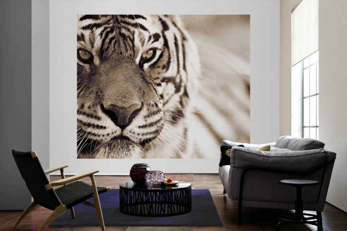 Die Fototapete Tiger im Blick als große Bildtapete im Wohnzimmer. Als Bildtapete ist die Fototapete Tiger im Blick ein besonderes Highlight auf Vliestapete.