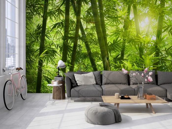 Die Fototapete Bambus Wald mit Blättern auf einer großen Wand im Loft tapeziert. Die Fototapete Bambus Wald mit Blättern wird individuell auf Deine Wand angepasst.