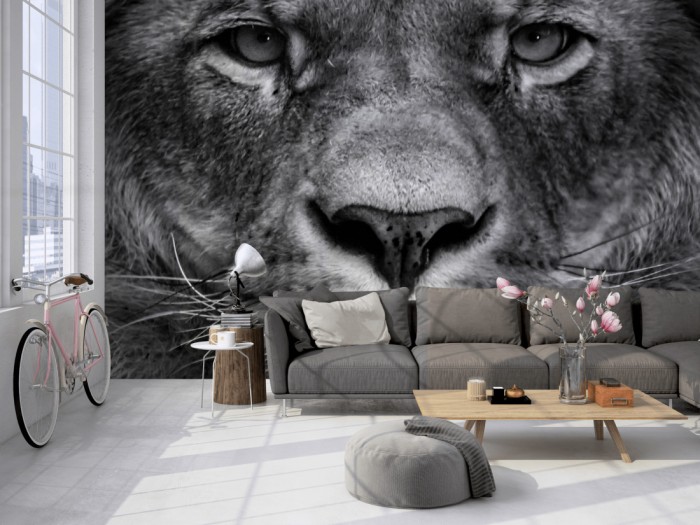 Die Fototapete Löwe im Blick, schwarz-weiß auf einer großen Wand im Loft tapeziert. Die Fototapete Löwe im Blick, schwarz-weiß wird individuell auf Deine Wand angepasst.