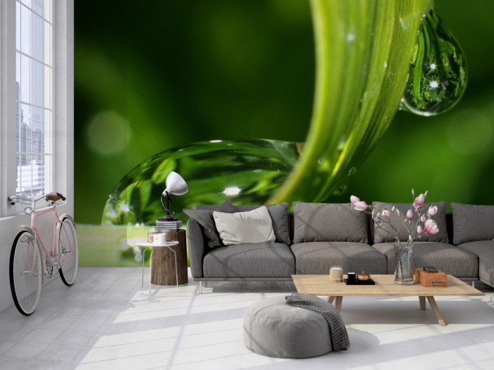 Die Fototapete Wassertropfen auf Grashalm auf einer großen Wand im Loft tapeziert. Die Fototapete Wassertropfen auf Grashalm wird individuell auf Deine Wand angepasst.