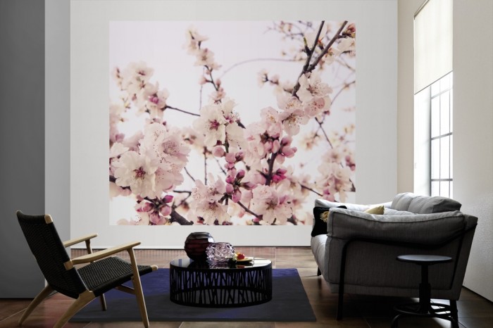 Die Fototapete Kirschblütenast im Frühling als große Bildtapete im Wohnzimmer. Als Bildtapete ist die Fototapete Kirschblütenast im Frühling ein besonderes Highlight auf Vliestapete.
