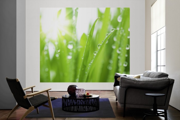 Die Fototapete Gras mit Wassertropfen als große Bildtapete im Wohnzimmer. Als Bildtapete ist die Fototapete Gras mit Wassertropfen ein besonderes Highlight auf Vliestapete.