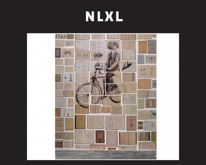 Die NLXL Tapete EKA-03 Biblioteca von Ekaterina Panikanova tapeziert an einer Wand.