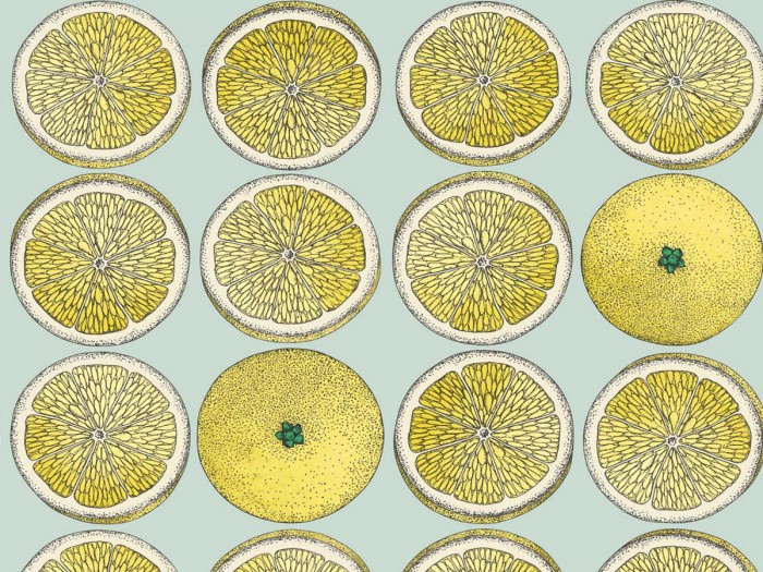 Ansicht der Fornasetti Tapete 114/24048 Arance von Cole and Son