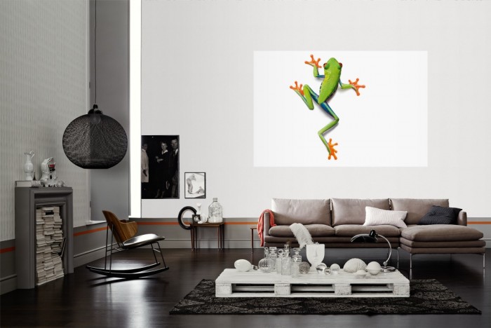 Die Fototapete Frosch Laubfrosch, Fotografie by Mark Laita als Wandbild im Wohnzimmer. Die Vlies-Fototapete Frosch Laubfrosch, Fotografie by Mark Laita verschönert als Wandbild Deine Wand.
