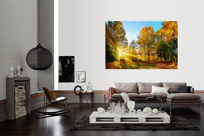 Die Fototapete Waldlichtung im Herbst als Wandbild im Wohnzimmer. Die Vlies-Fototapete Waldlichtung im Herbst verschönert als Wandbild Deine Wand.