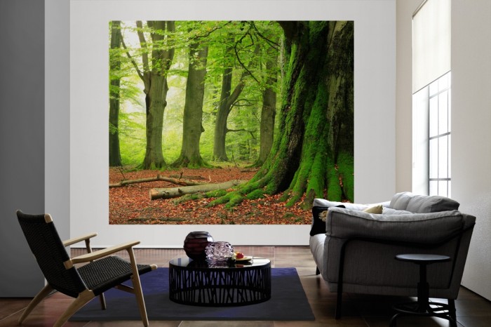 Die Fototapete Grüner Wand mit Laub als große Bildtapete im Wohnzimmer. Als Bildtapete ist die Fototapete Grüner Wand mit Laub ein besonderes Highlight auf Vliestapete.