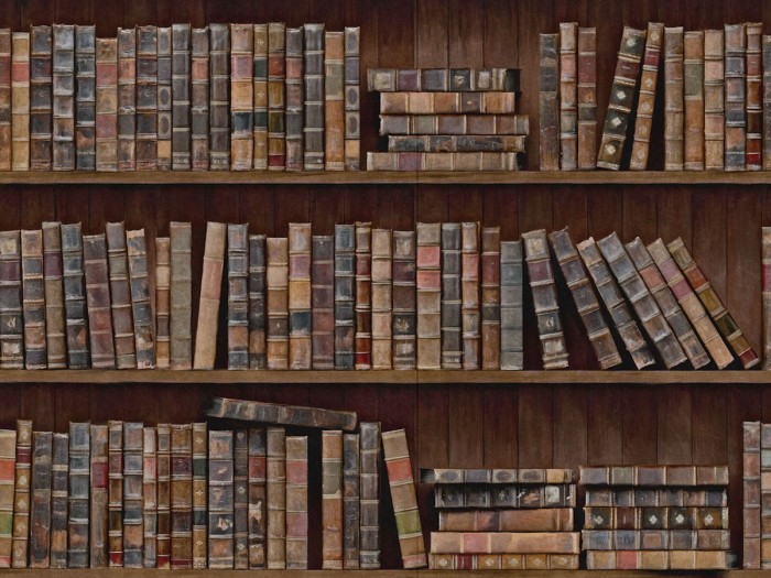 Detailansicht der Selected Walls Tapete Naumburg Books Wallpaper Col. 01