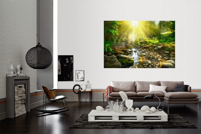 Die Fototapete Waldbach bei Sonnenschein als Wandbild im Wohnzimmer. Die Vlies-Fototapete Waldbach bei Sonnenschein verschönert als Wandbild Deine Wand.