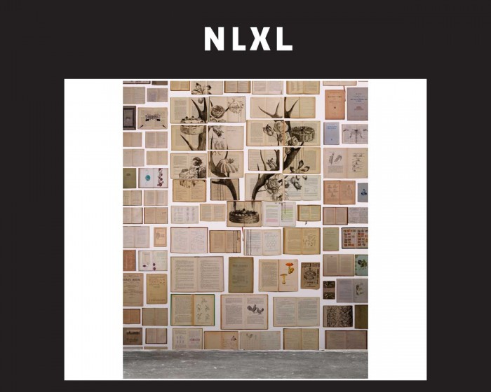 Die NLXL Tapete EKA-02 Biblioteca von Ekaterina Panikanova tapeziert an einer Wand.